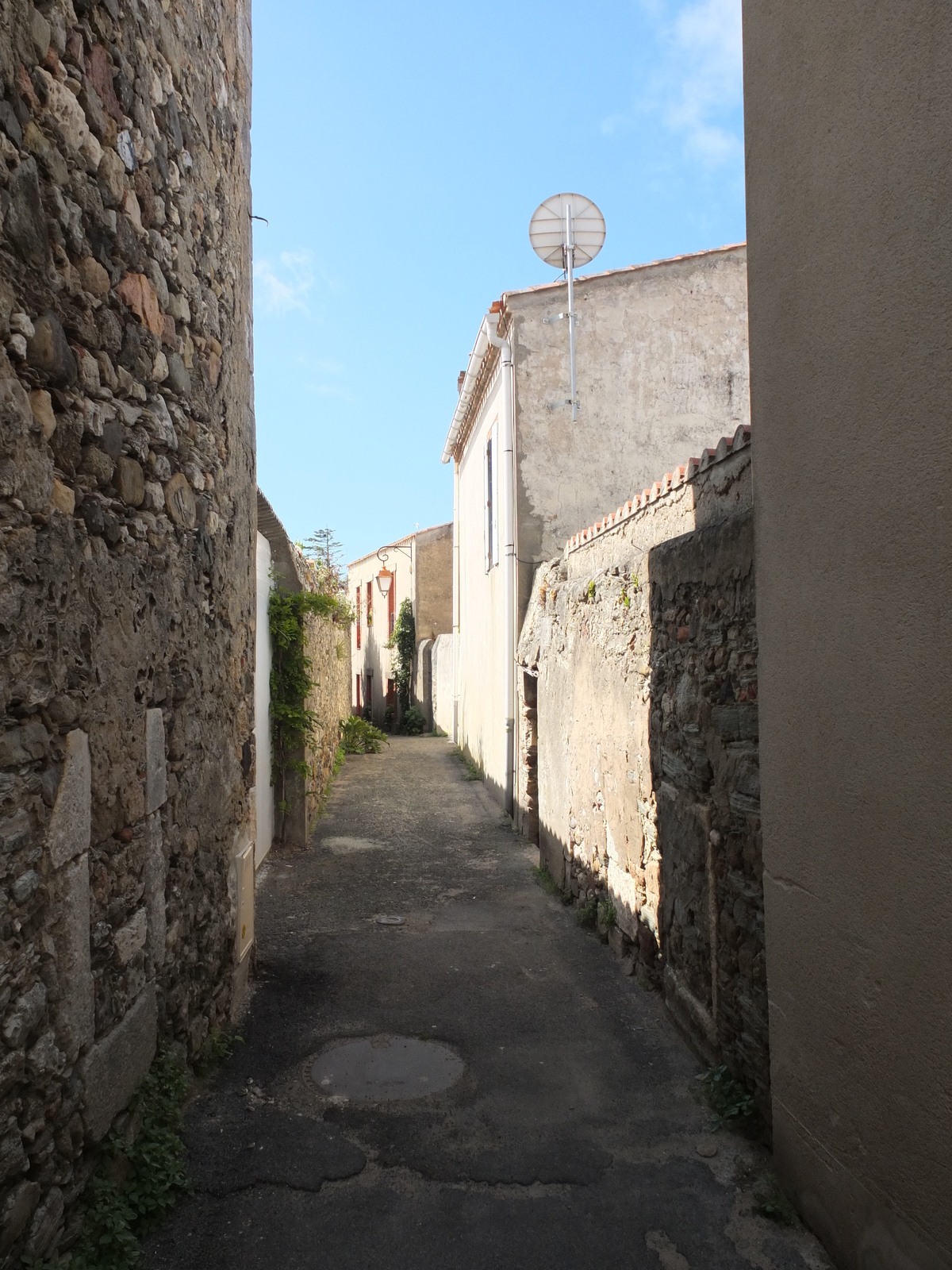 照片 法国(France) 圣吉勒-克鲁瓦德维(Saint Gilles Croix de Vie) 2012-07 40
