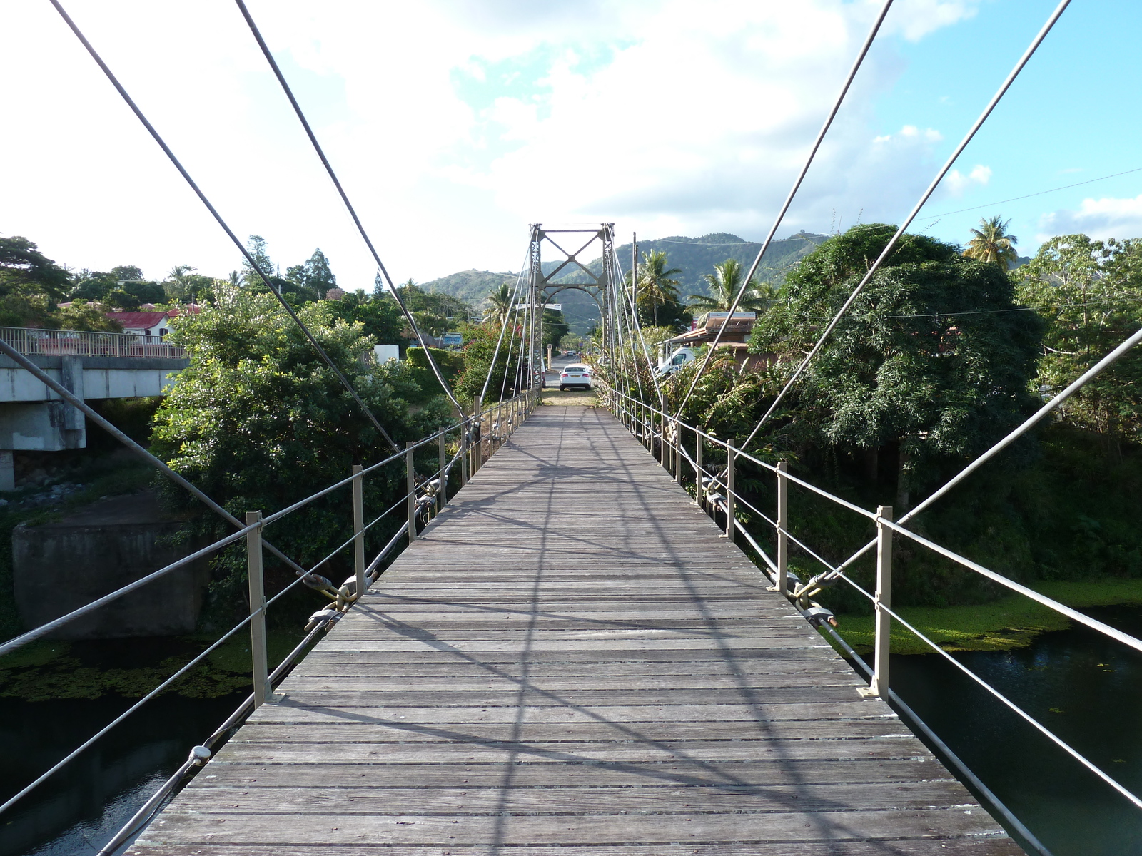 照片 新喀里多尼亚(New Caledonia) 卡纳拉至拉福阿公路(Canala to La Foa road) 2010-05 37