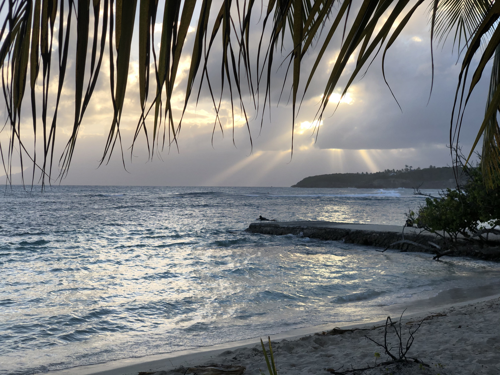 照片 瓜德罗普(Guadeloupe) 圣安妮(Sainte Anne) 2021-02 37