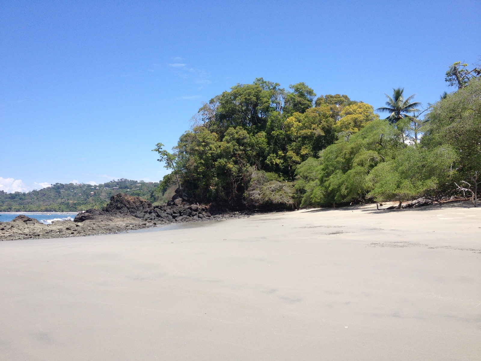 照片 哥斯达黎加(Costa Rica) 曼努埃尔安东尼奥(Manuel Antonio) 2015-03 371