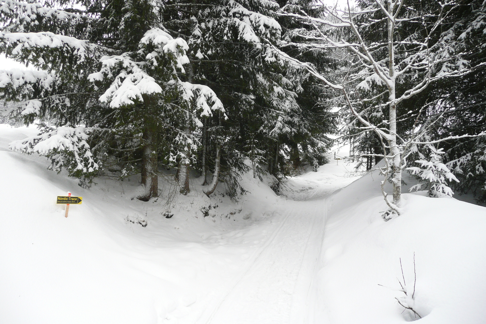 照片 法国(France) 梅杰夫(Megeve) 勒普拉奈(Le Planay) 2010-02 21
