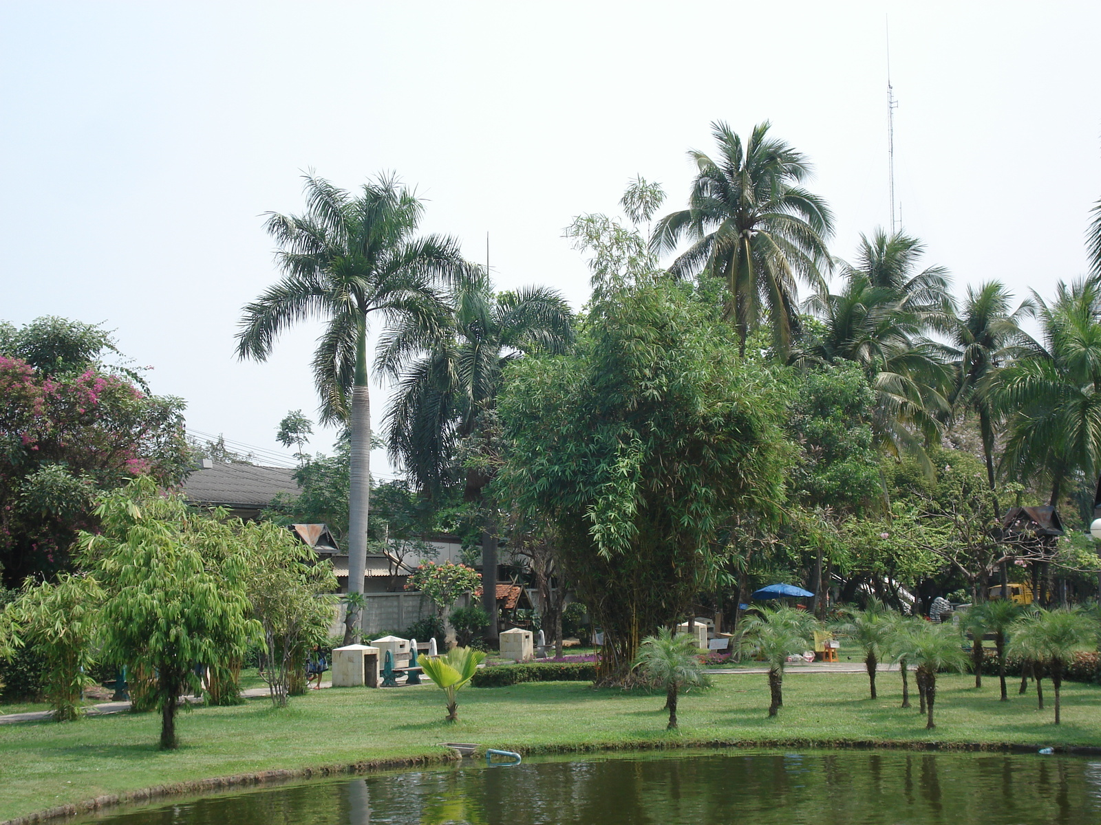 照片 泰国(Thailand) 清迈(Chiang Mai) 护城河内(Inside Canal) 布阿哈公园(Buak Had Park) 2006-04 16