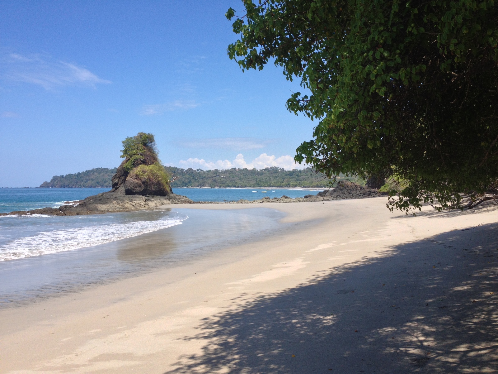 照片 哥斯达黎加(Costa Rica) 曼努埃尔安东尼奥(Manuel Antonio) 2015-03 230