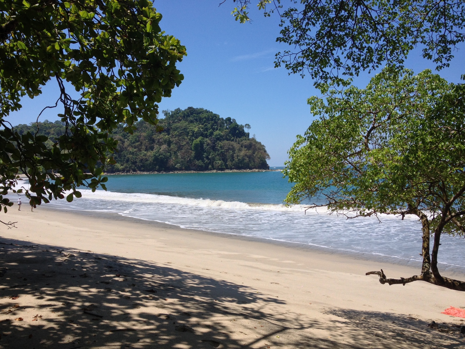 照片 哥斯达黎加(Costa Rica) 曼努埃尔安东尼奥(Manuel Antonio) 2015-03 283