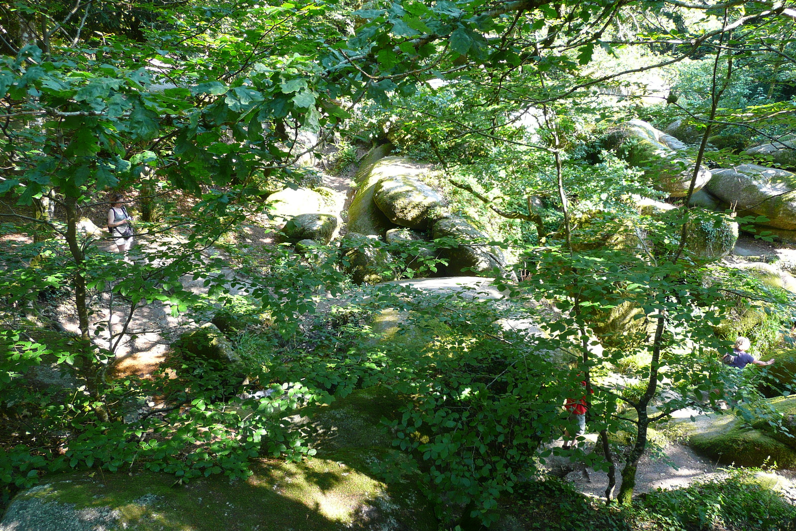 照片 法国(France) 于埃尔瓜特(Huelgoat) 2007-08 168