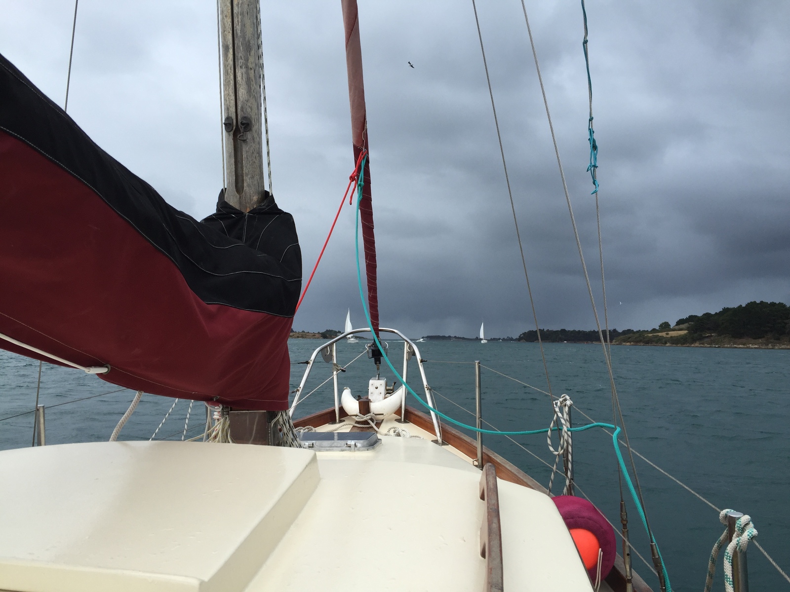 照片 法国(France) 莫尔比昂湾(Golfe du Morbihan) 2016-08 80