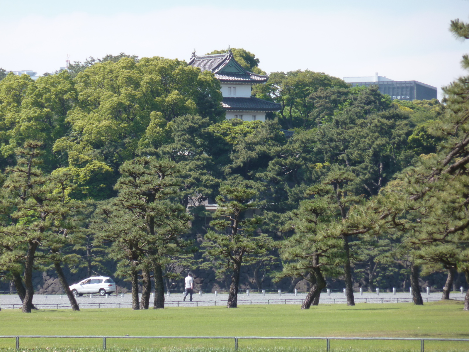 照片 日本(Japan) 东京(Tokyo) 皇居(Imperial Palace) 2010-06 1