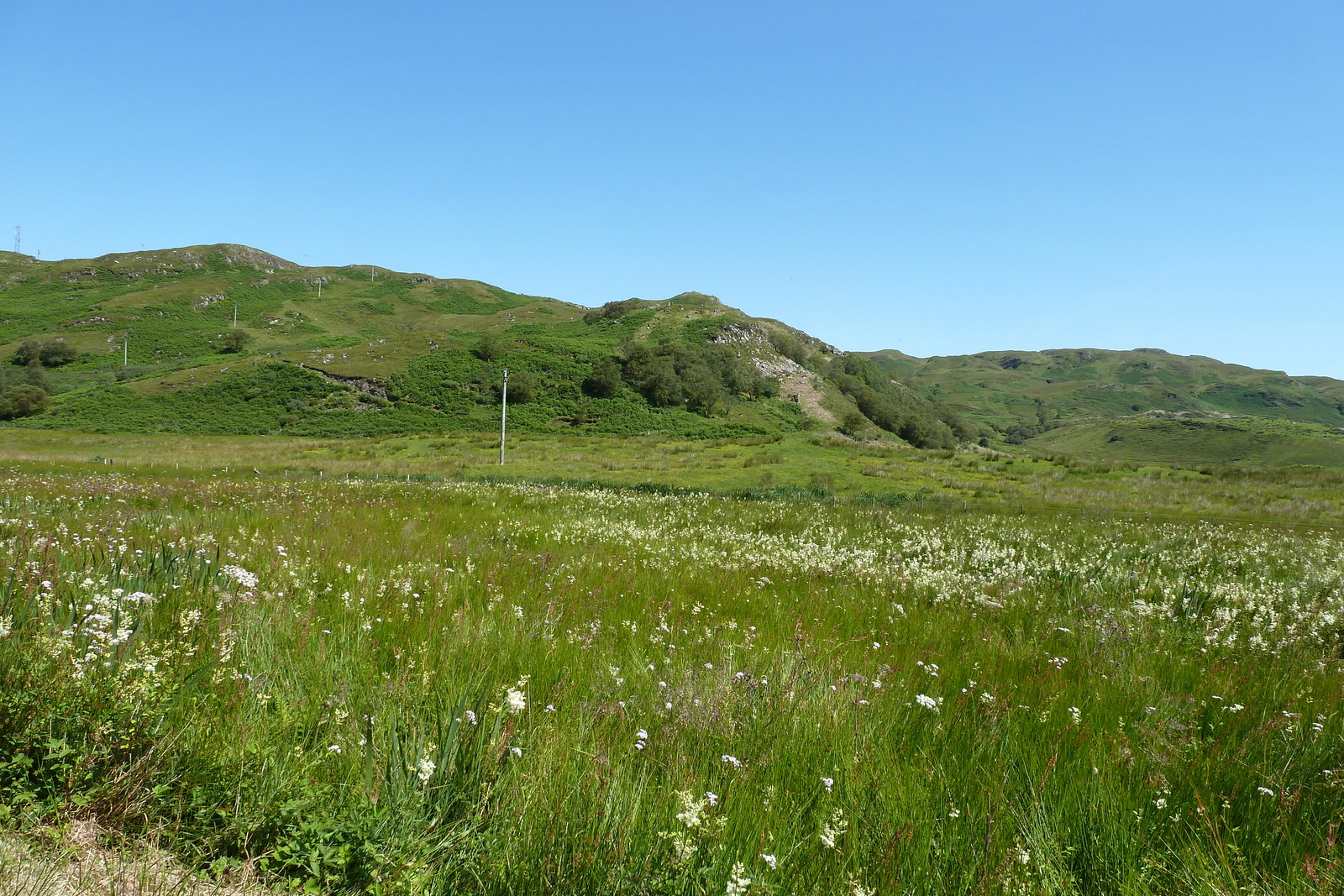 照片 英国(United Kingdom) 苏格兰(Scotland) 林尼湖(Loch Linnhe) 2011-07 19