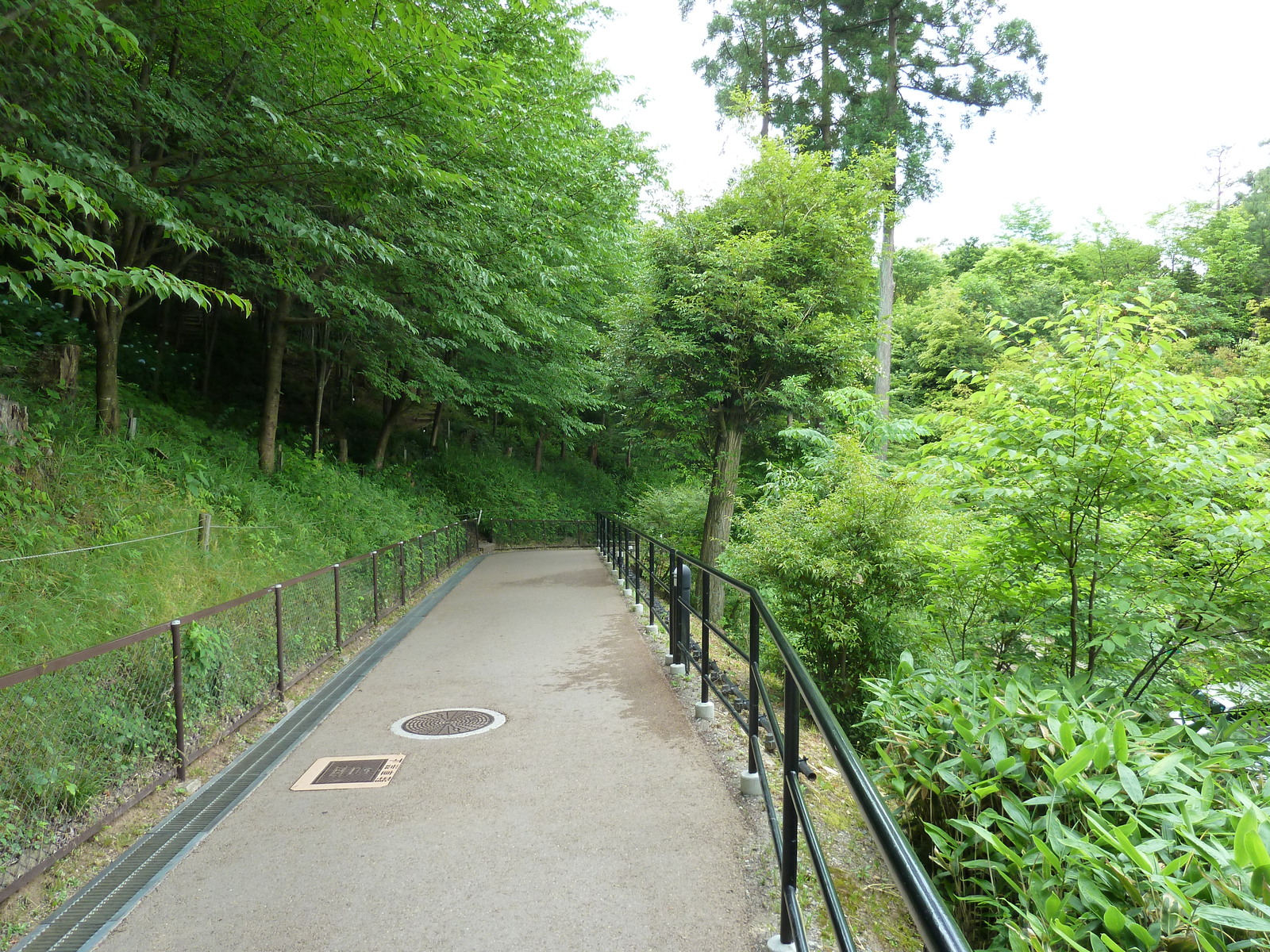 照片 日本(Japan) 京都(Kyoto) 清水寺(Kiyomizu Dera Temple) 2010-06 63