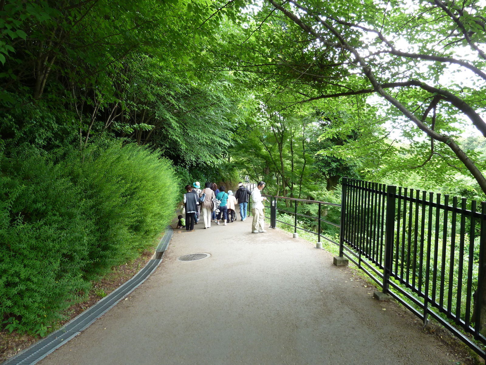 照片 日本(Japan) 京都(Kyoto) 清水寺(Kiyomizu Dera Temple) 2010-06 62