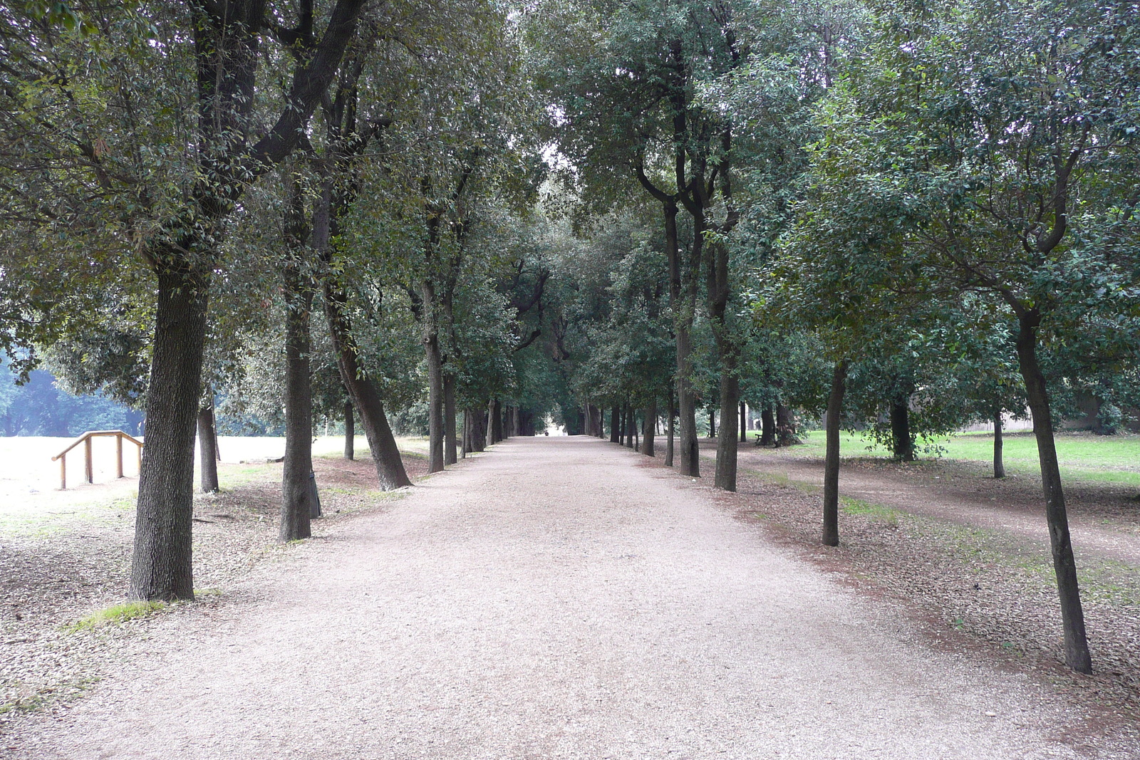 照片 意大利(Italy) 罗马(Rome) 多里亚·潘菲利别墅公园(Villa Doria Pamphili) 2007-11 35