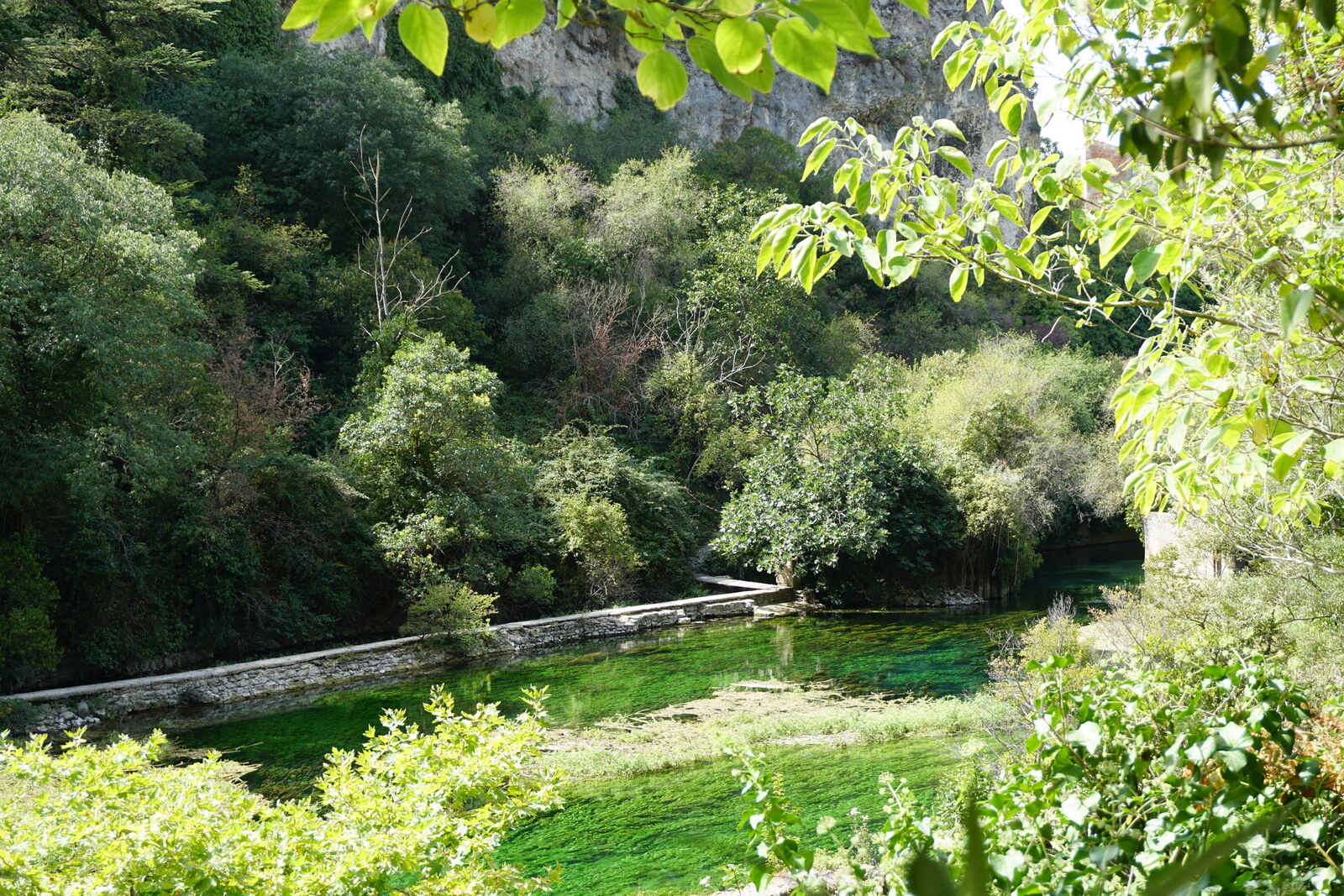 照片 法国(France) 沃克吕兹泉(Fontaine-de-Vaucluse) 2017-08 16