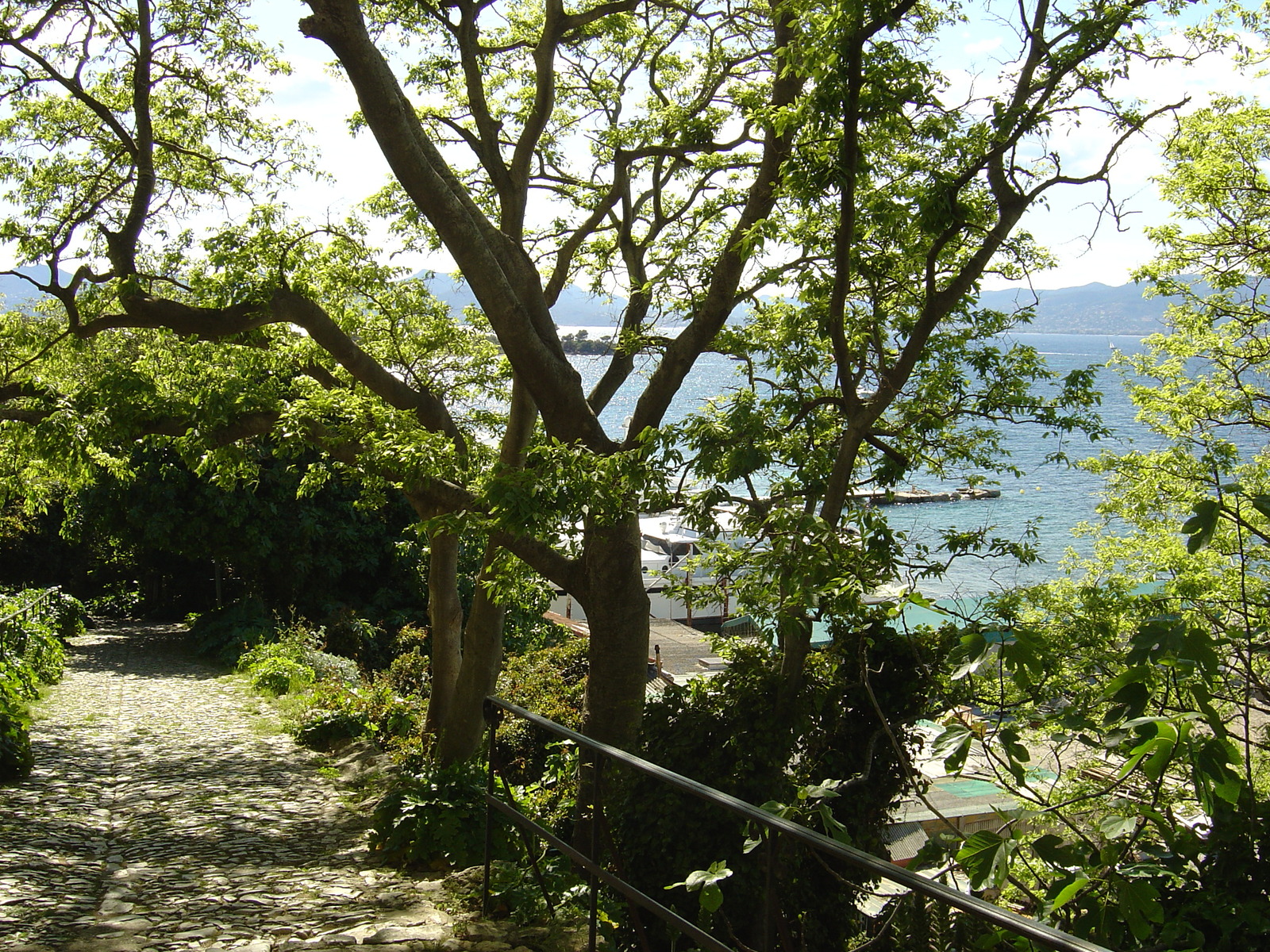照片 法国(France) 戛纳(Cannes) 圣玛格丽特岛(Sainte Marguerite) 2004-05 53