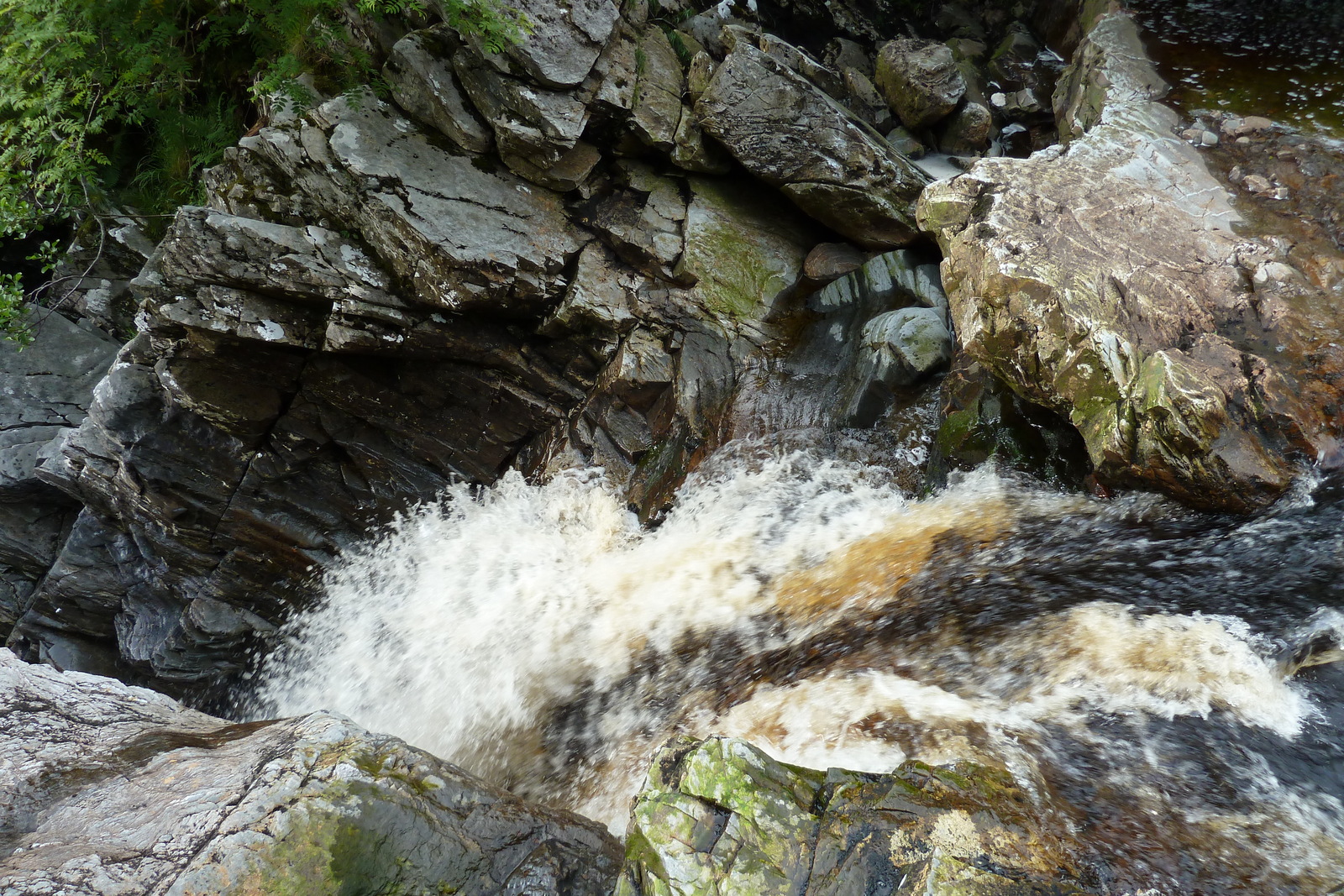 照片 英国(United Kingdom) 韦斯特罗斯(Wester Ross) 2011-07 118