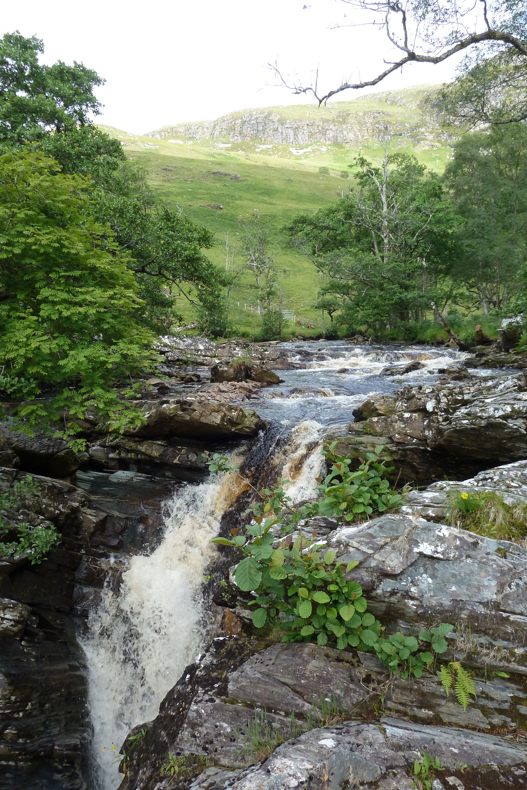 照片 英国(United Kingdom) 韦斯特罗斯(Wester Ross) 2011-07 140
