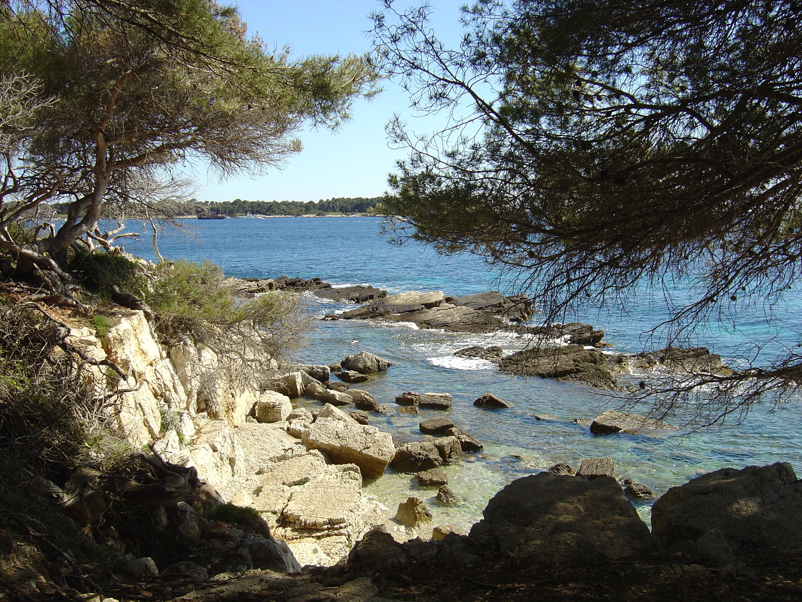 照片 法国(France) 戛纳(Cannes) 圣玛格丽特岛(Sainte Marguerite) 2004-05 28