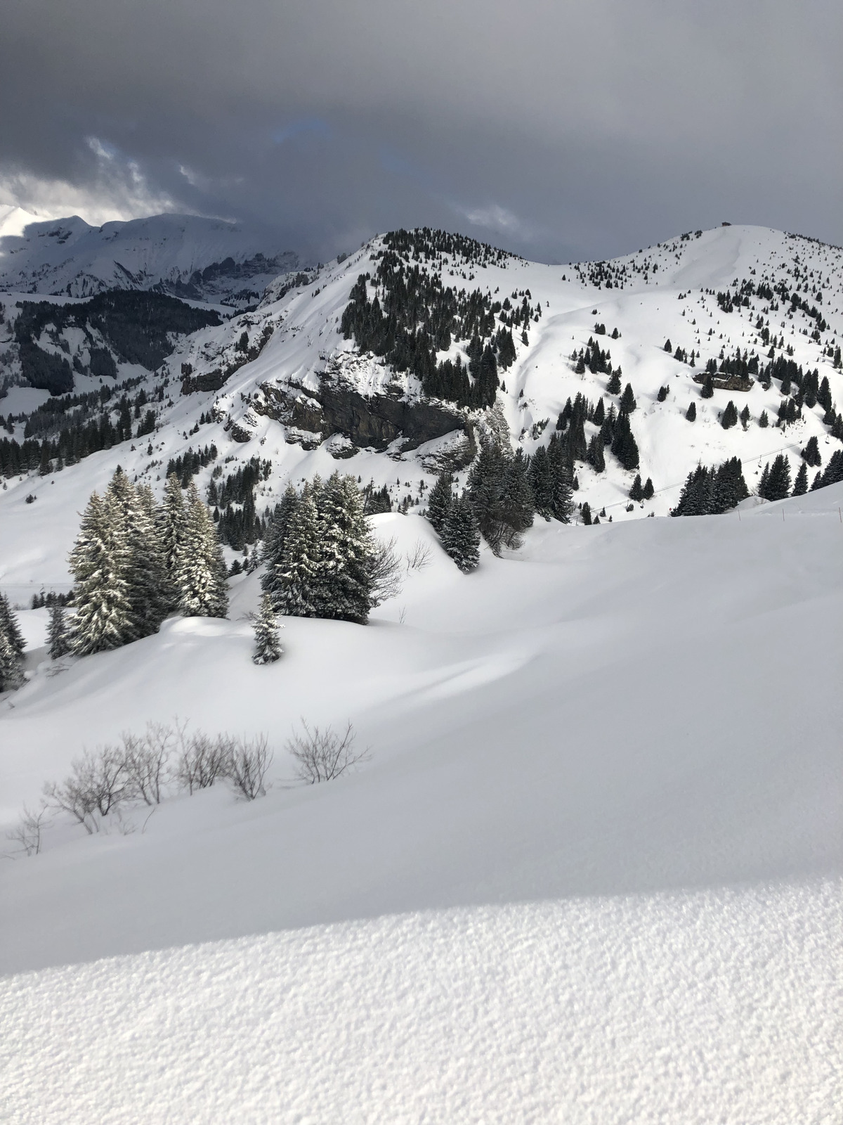 照片 法国(France) 梅杰夫(Megeve) 2019-03 10