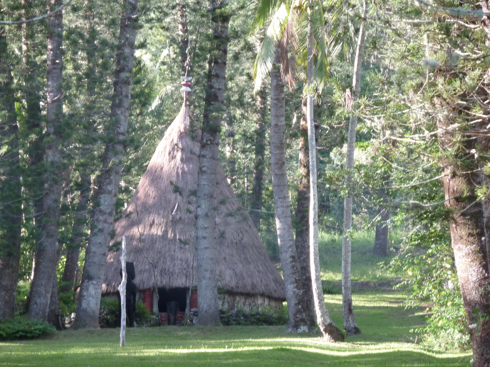 照片 新喀里多尼亚(New Caledonia) 卡纳拉至拉福阿公路(Canala to La Foa road) 2010-05 52