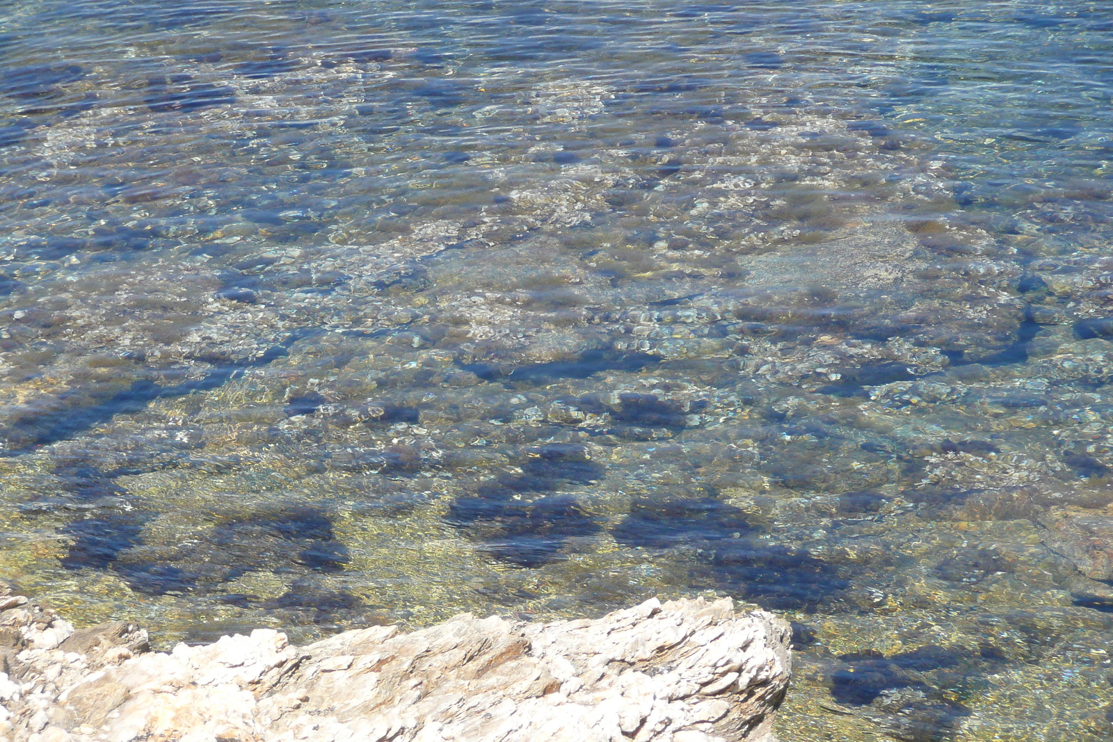 照片 法国(France) 波克罗勒岛(Porquerolles Island) 勒坎角(Pointe du Lequin) 2008-05 40