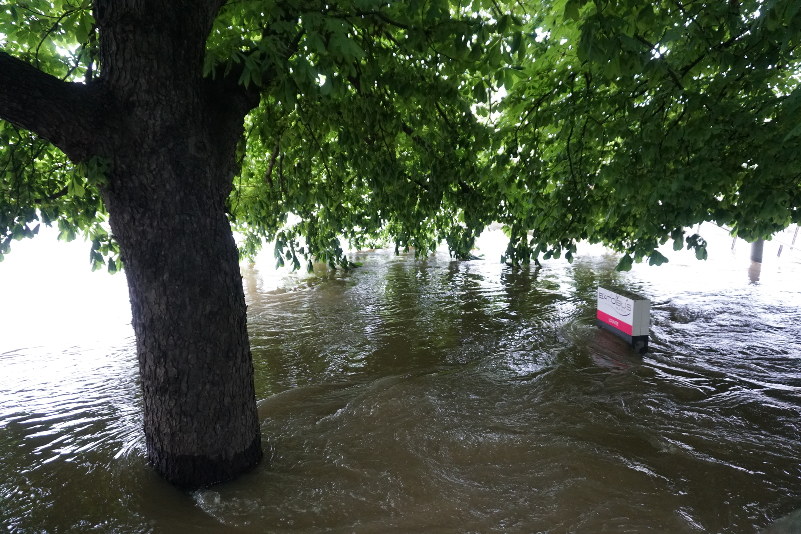 照片 法国(France) 巴黎(Paris) 塞纳河(Seine river) 2016-06 32