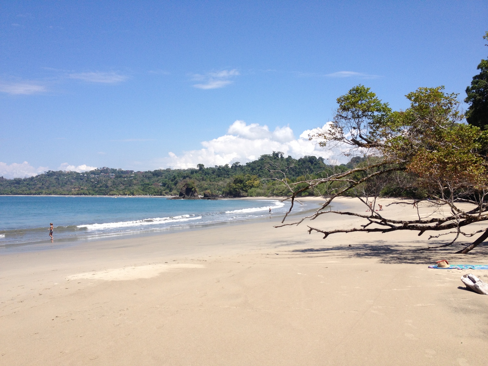 照片 哥斯达黎加(Costa Rica) 曼努埃尔安东尼奥(Manuel Antonio) 2015-03 280