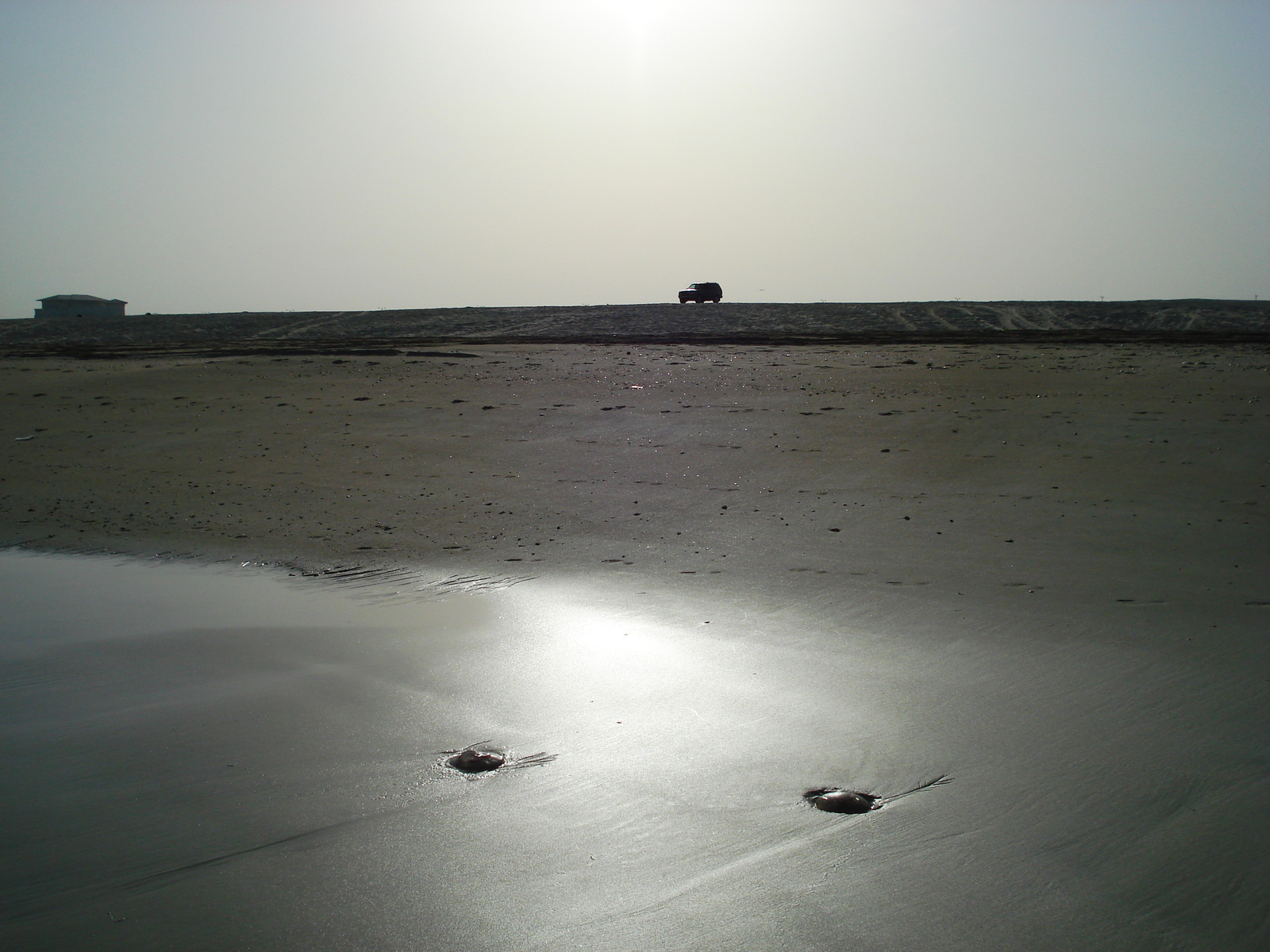 照片 阿联酋(United Arab Emirates) 迪拜(Dubai) 朱美拉海滩(Jumeirah Beach) 2007-03 7