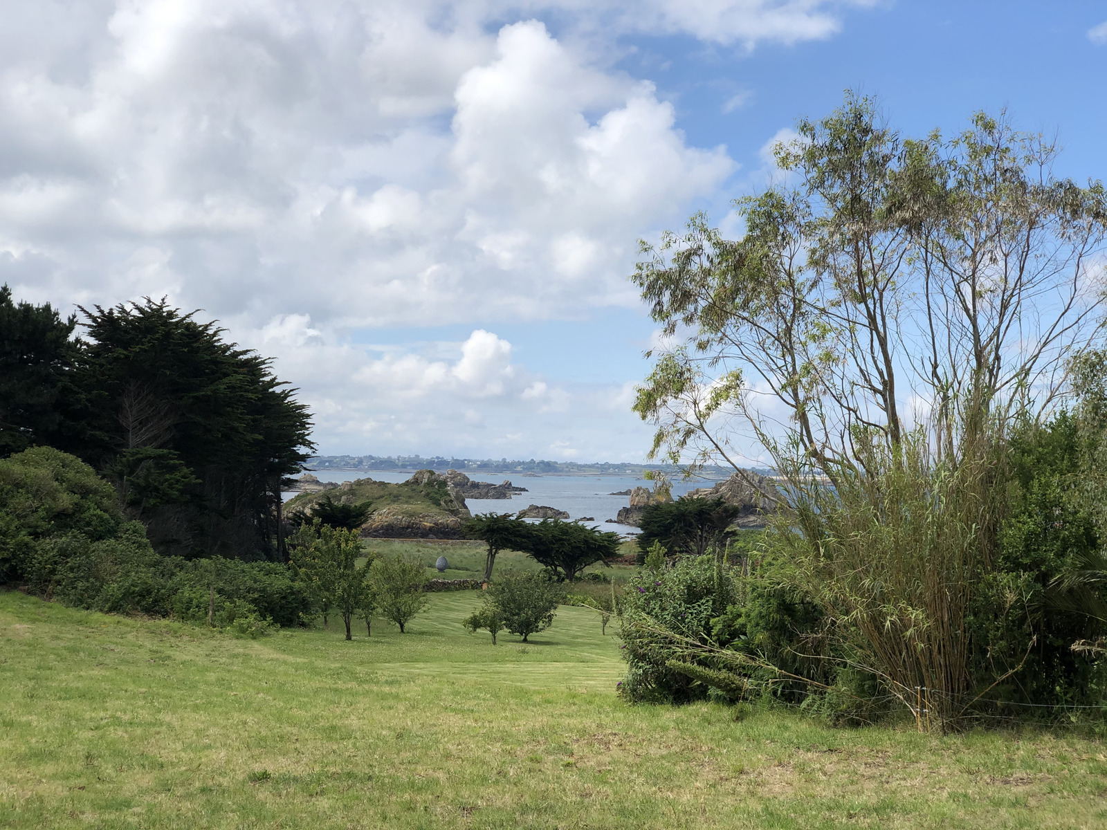 照片 法国(France) 布雷阿岛(Brehat Island) 2020-06 13