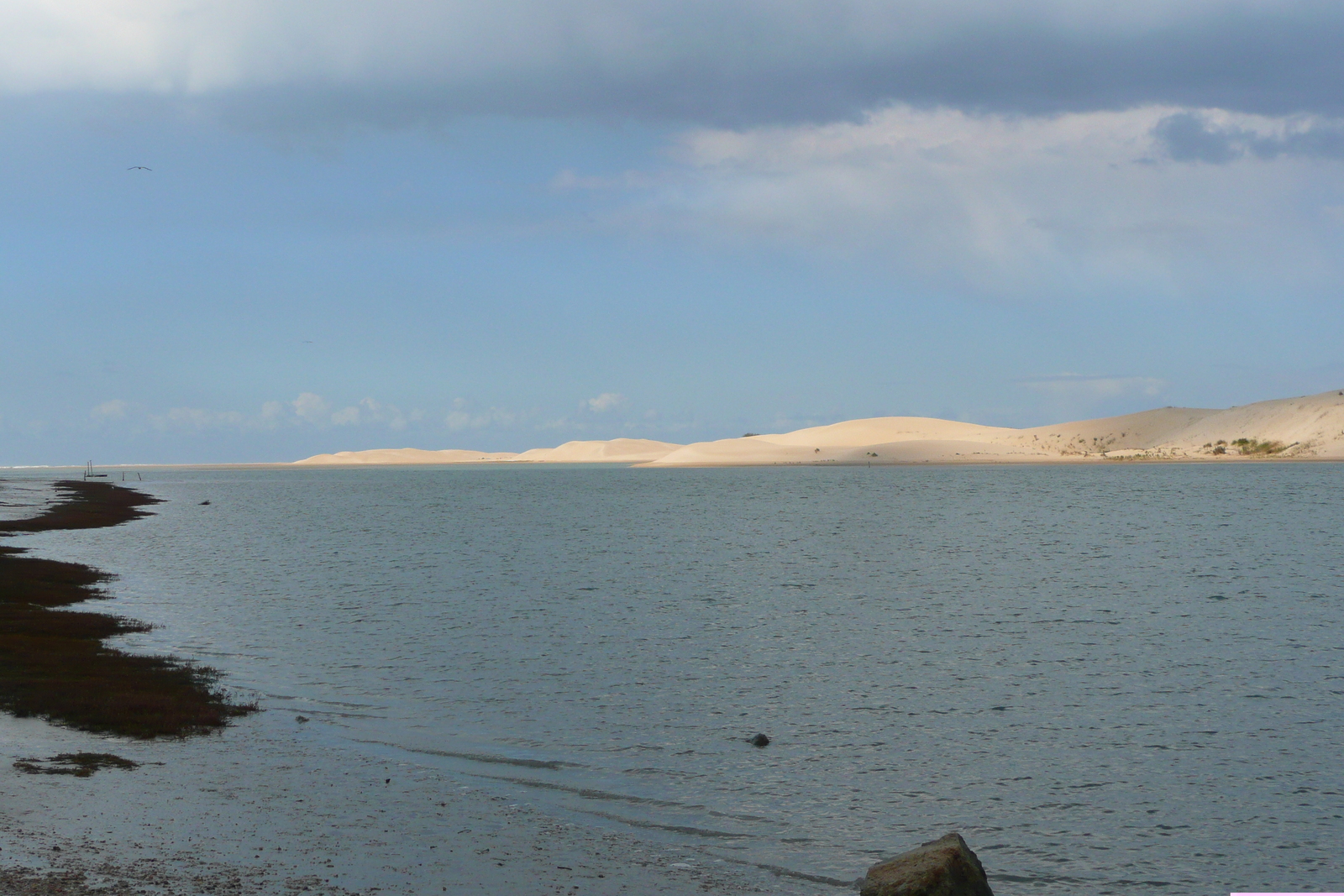照片 南非(South Africa) 星期日河(Sundays River) 2008-09 98