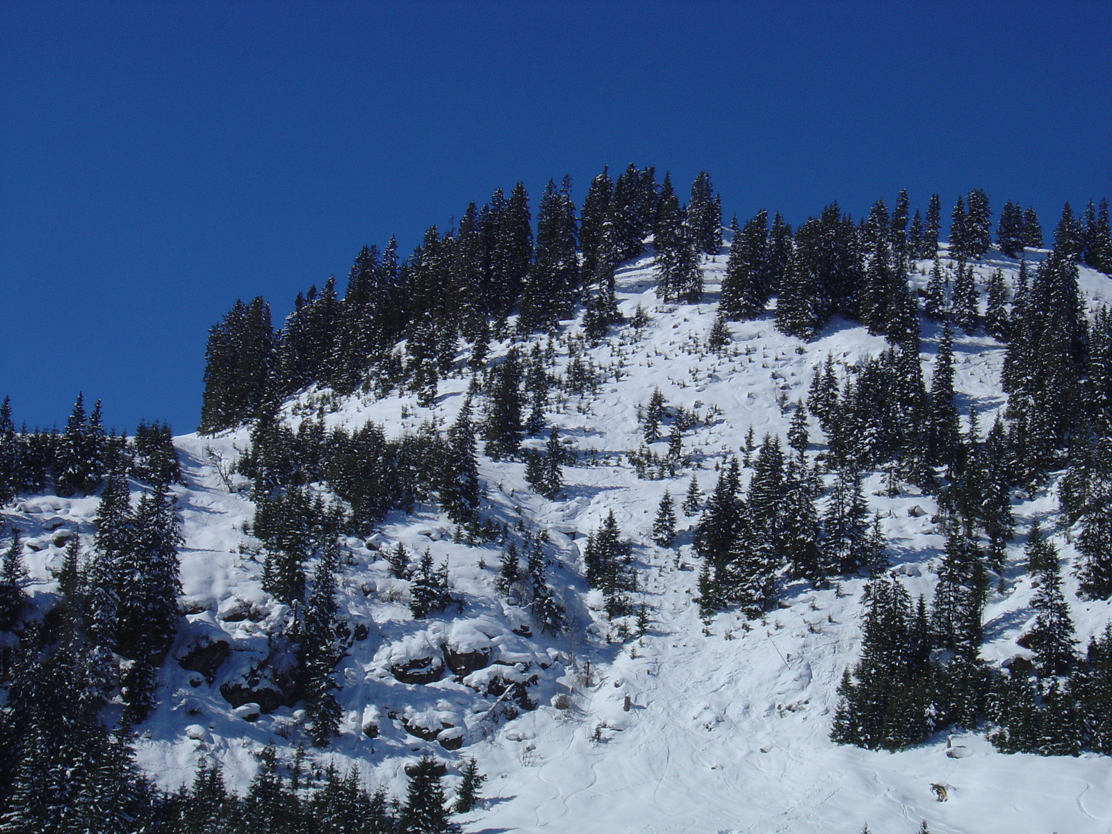 照片 奥地利(Austria) 基茨比厄尔(Kitzbuhel) 滑雪(Ski) 2005-03 64