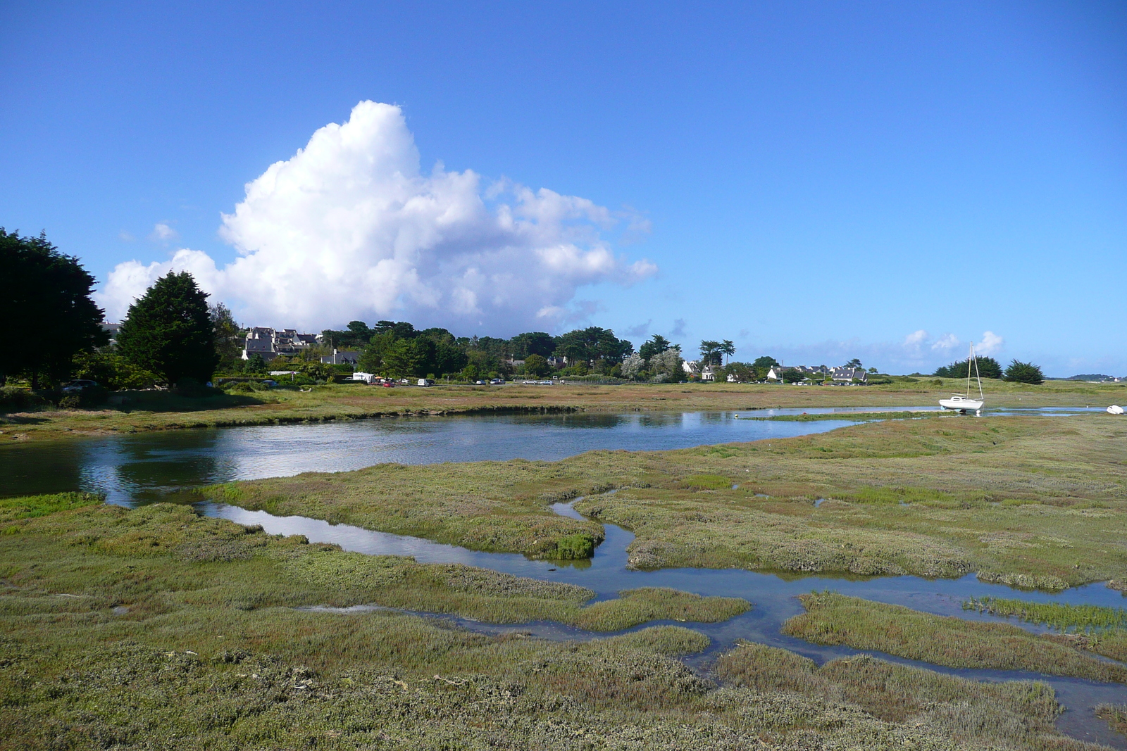 照片 法国(France) 特雷伯尔当(Trebeurden) 2007-08 30