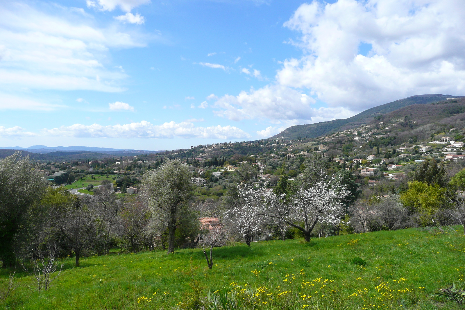 照片 法国(France) 旺斯(Vence) 上旺斯(Hauts de Vence) 2008-03 35