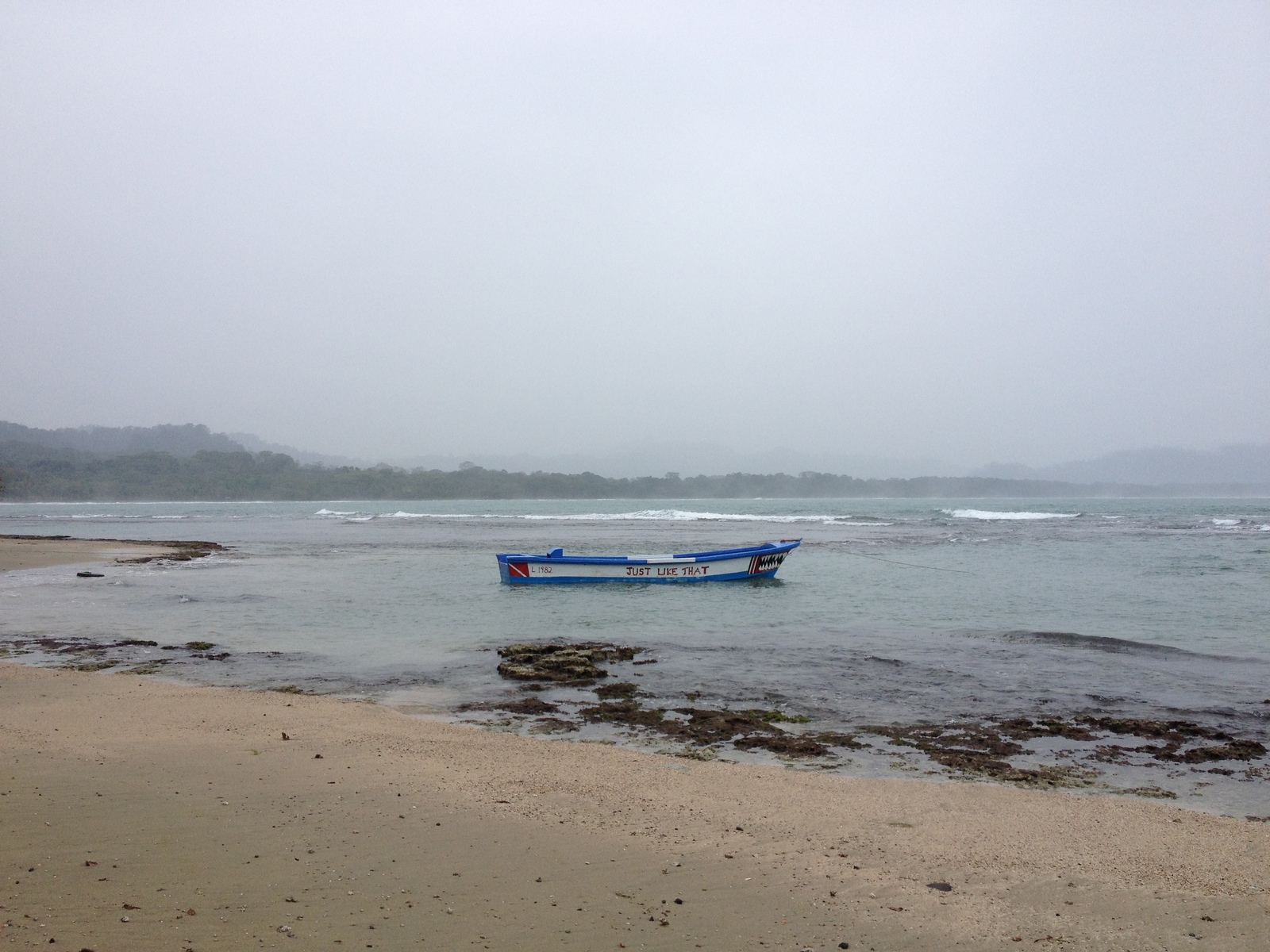 照片 哥斯达黎加(Costa Rica) 塔拉曼卡旧港(Puerto Viejo de Talamanca) 2015-03 30