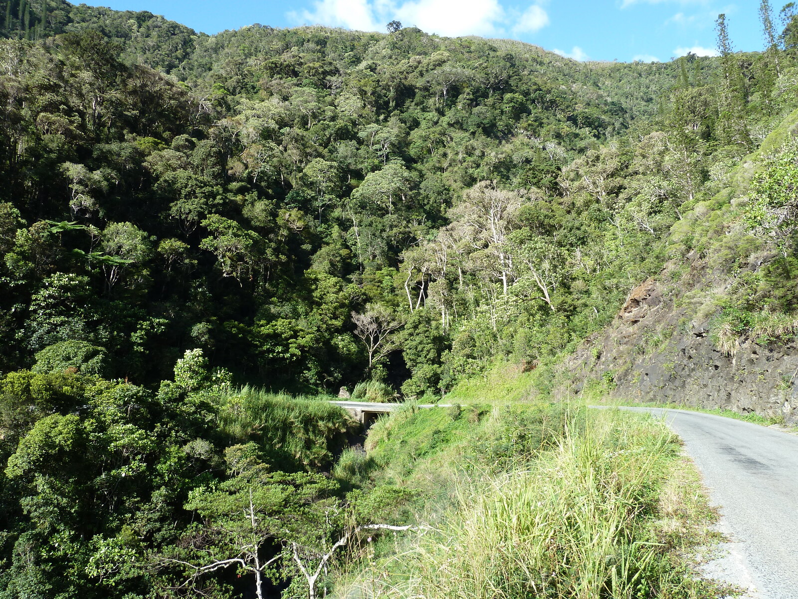 照片 新喀里多尼亚(New Caledonia) 卡纳拉至拉福阿公路(Canala to La Foa road) 2010-05 44