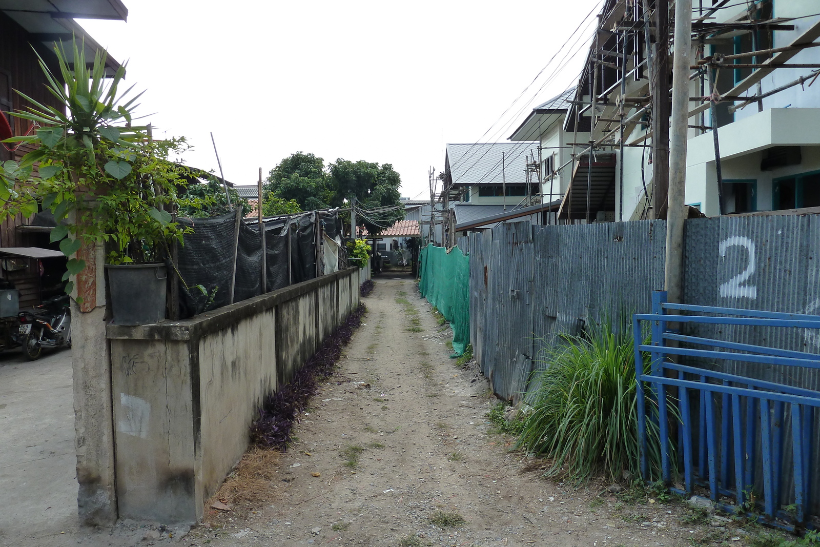 照片 泰国(Thailand) 清迈(Chiang Mai) 2010-12 57