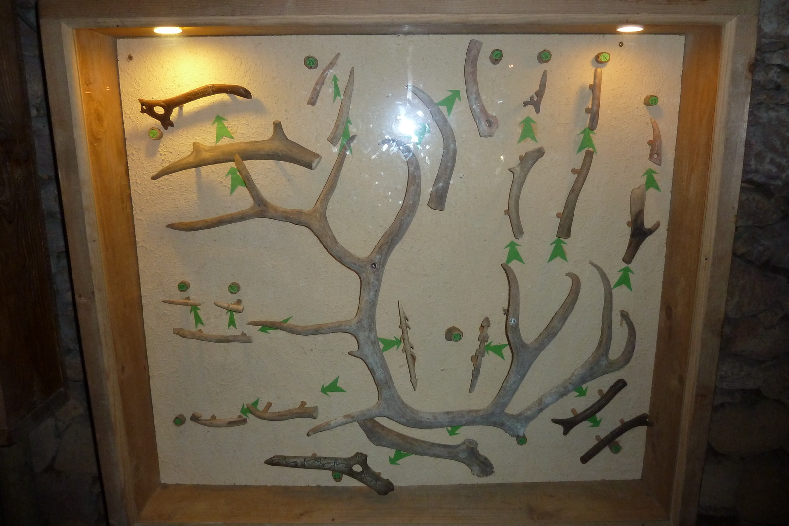 照片 法国(France) 雷尼亚克堡垒屋(Maison Forte de Reignac) 2010-08 9