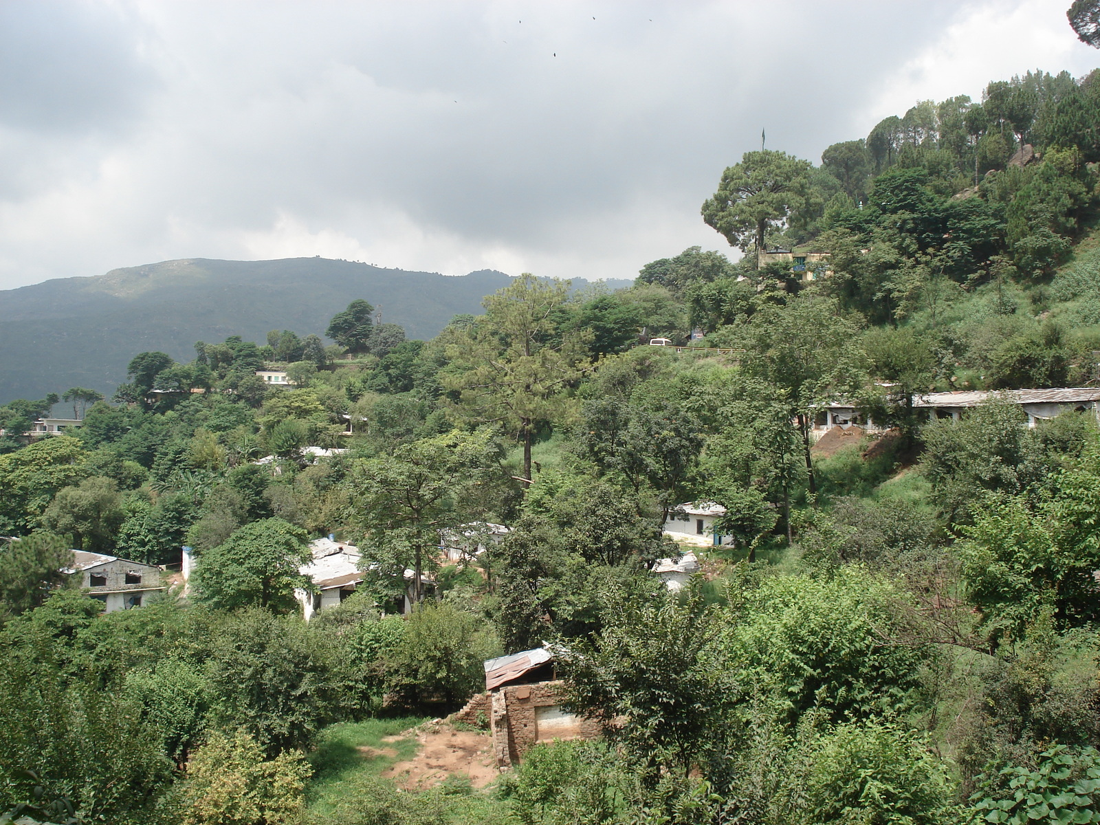 照片 巴基斯坦(Pakistan) 伊斯兰堡至穆里公路(Islamabad to Murree road) 2006-08 6