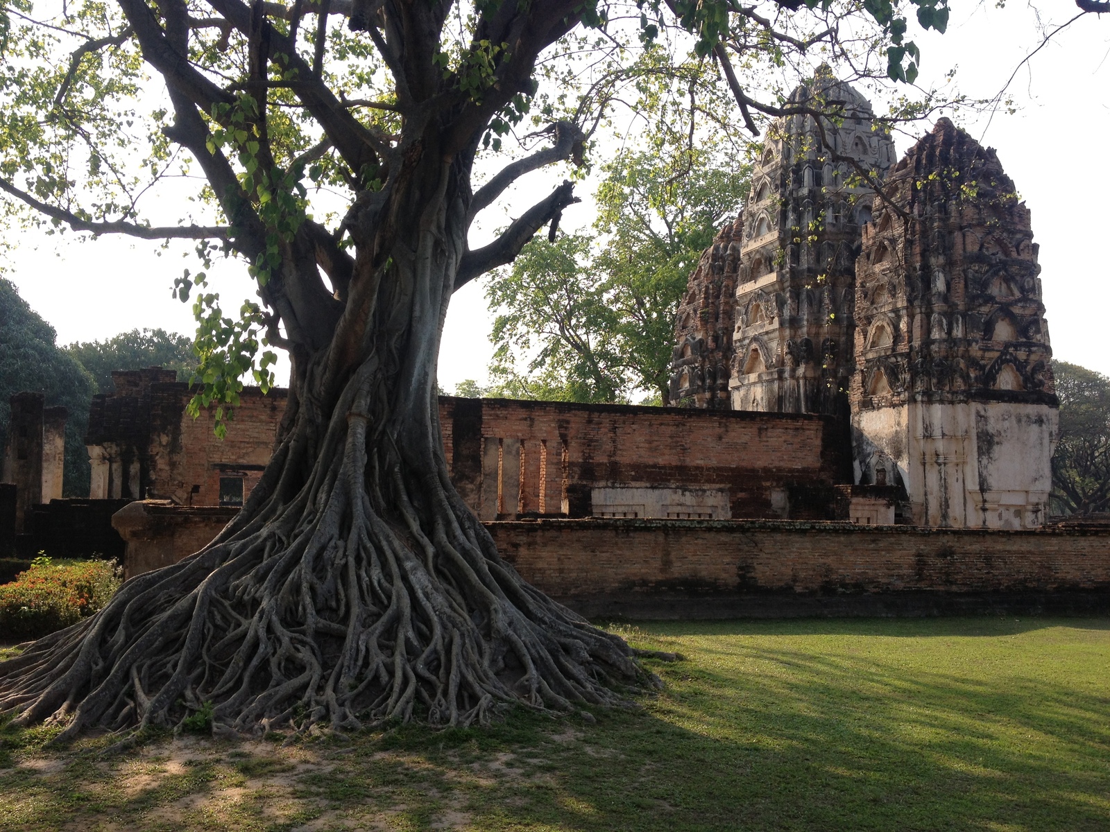 照片 泰国(Thailand) 素可泰(Sukhothai) 2014-02 30
