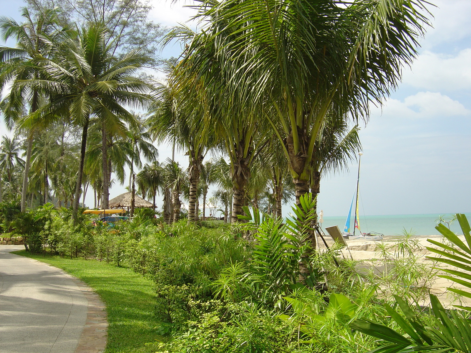 照片 泰国(Thailand) 考拉(Khao Lak) 考拉艾美酒店(Meridien Khao Lak Hotel) 2005-12 45