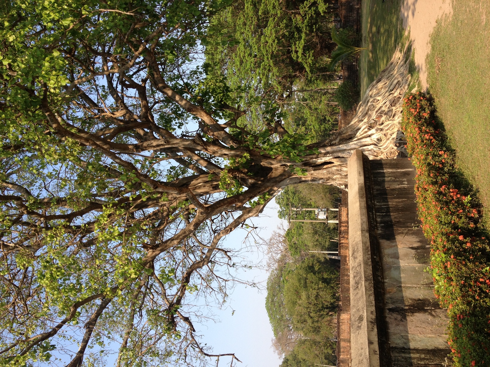 照片 泰国(Thailand) 素可泰(Sukhothai) 2014-02 37