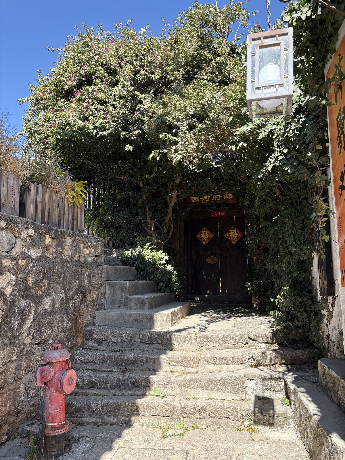 照片 中国(China) 丽江(Lijiang) 2026-01 414