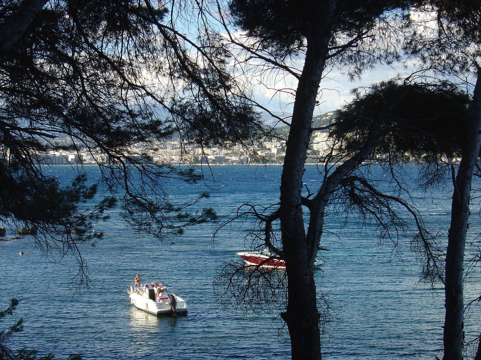 照片 法国(France) 戛纳(Cannes) 圣玛格丽特岛(Sainte Marguerite) 2005-10 24