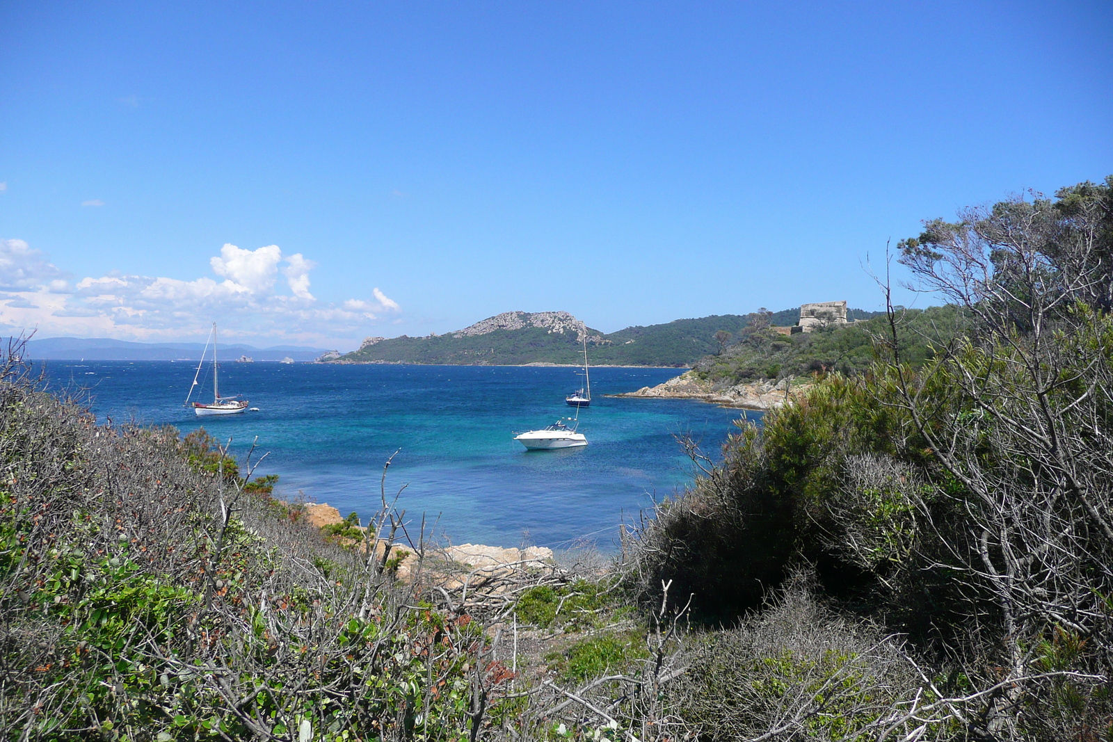 照片 法国(France) 波克罗勒岛(Porquerolles Island) 勒坎角(Pointe du Lequin) 2008-05 24
