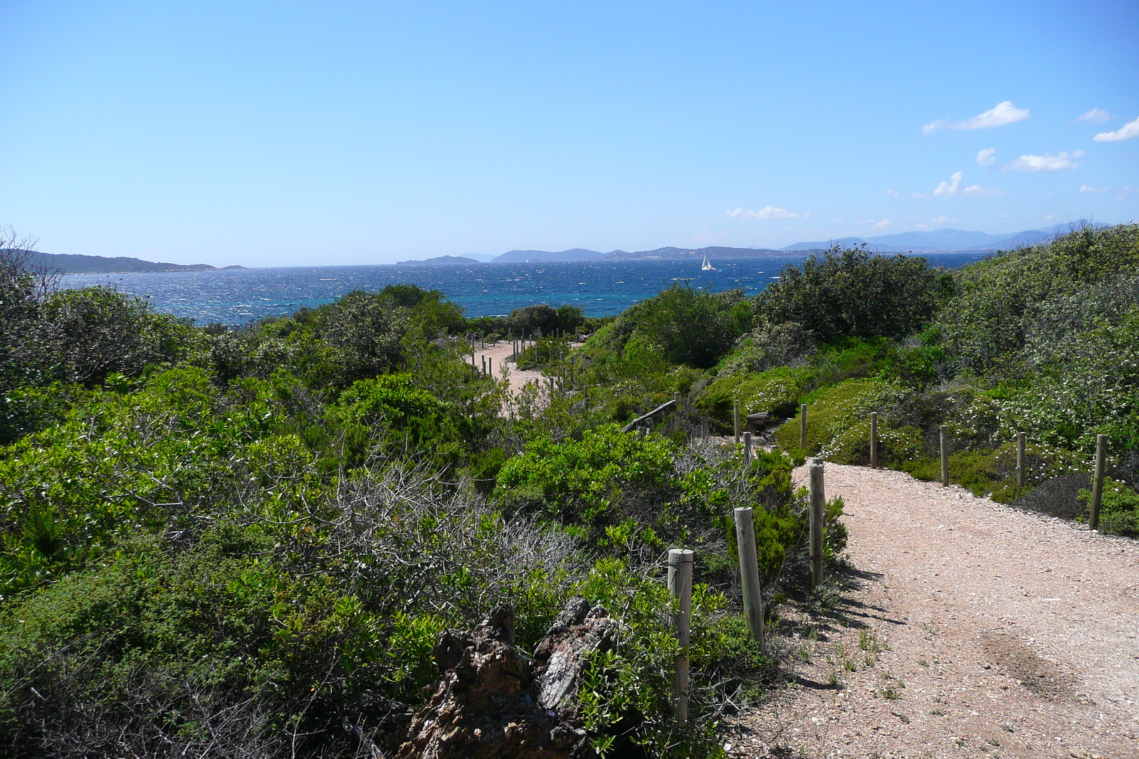 照片 法国(France) 波克罗勒岛(Porquerolles Island) 勒坎角(Pointe du Lequin) 2008-05 16