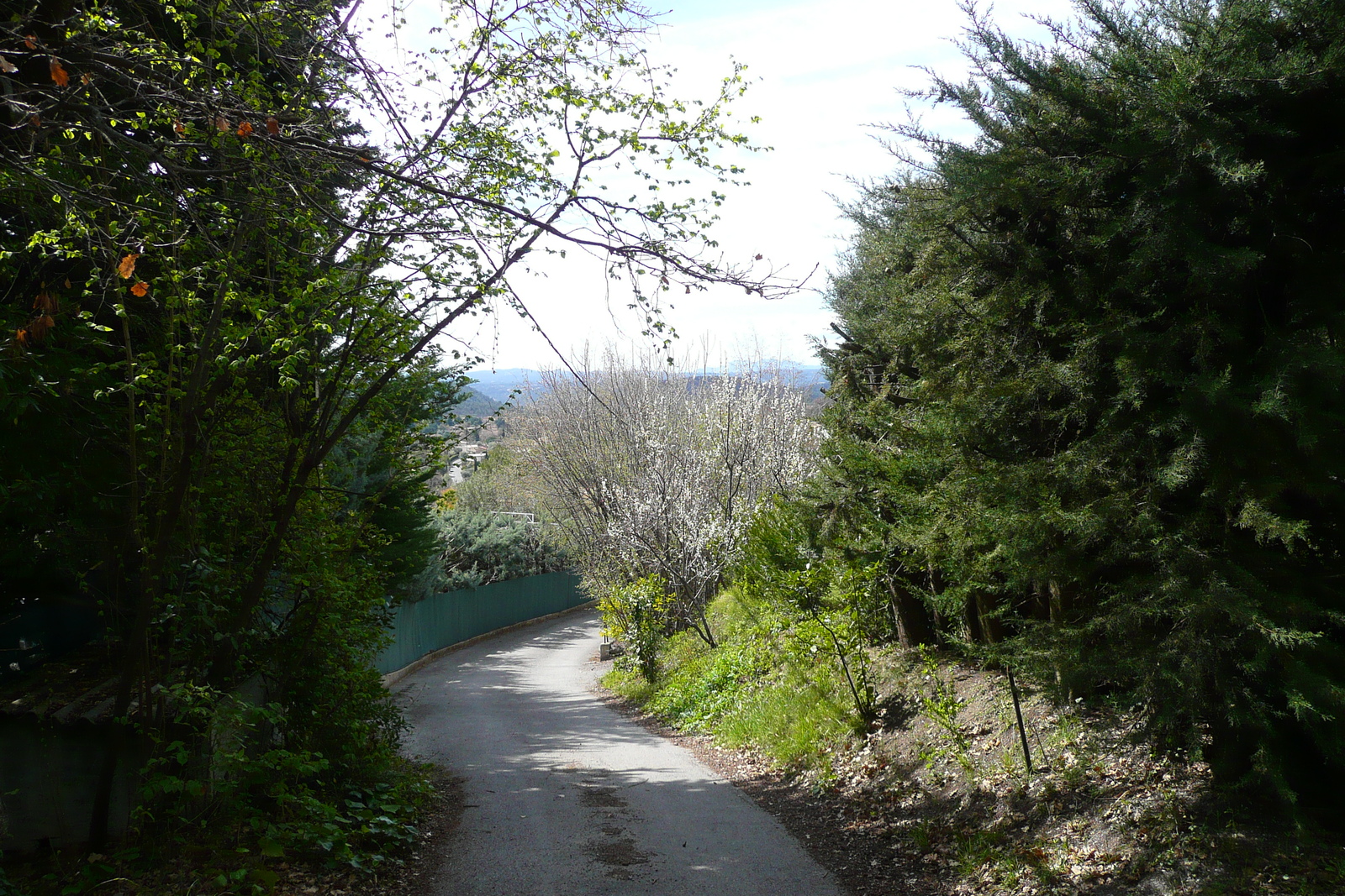照片 法国(France) 旺斯(Vence) 上旺斯(Hauts de Vence) 2008-03 82