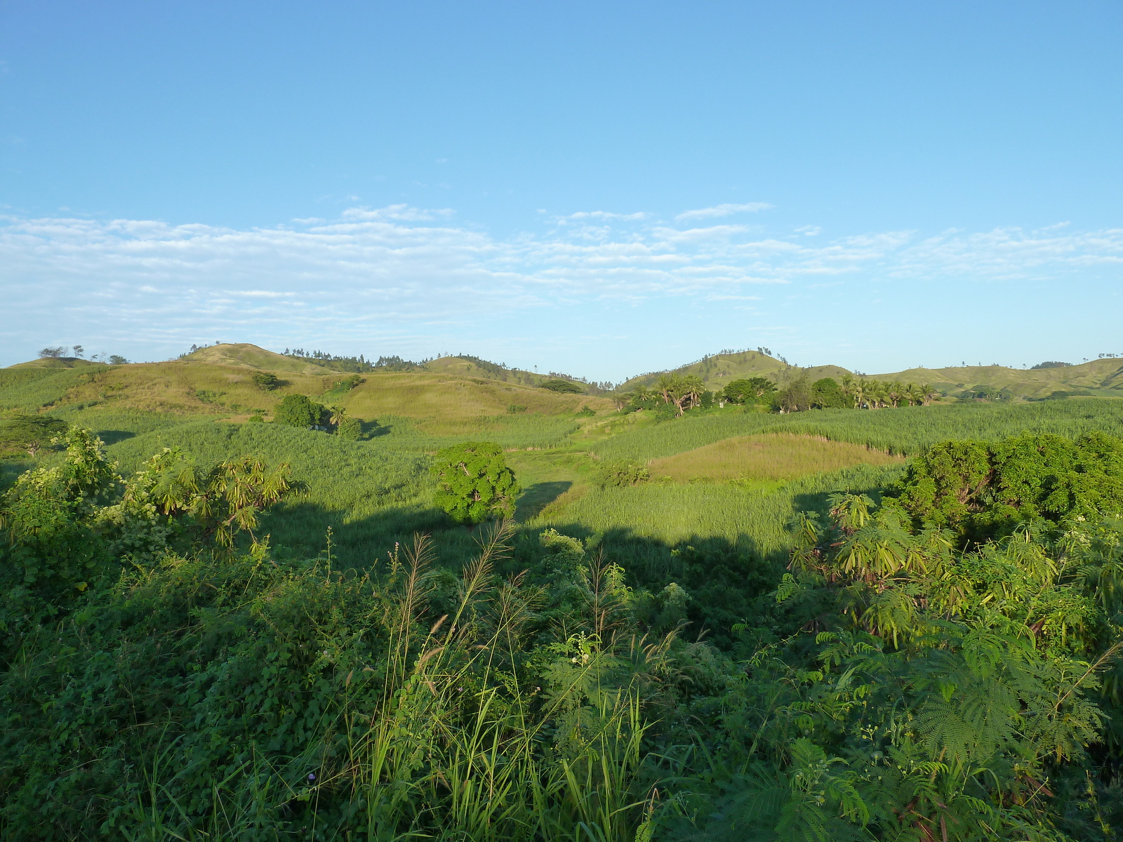 照片 斐济(Fiji) 2010-05 12