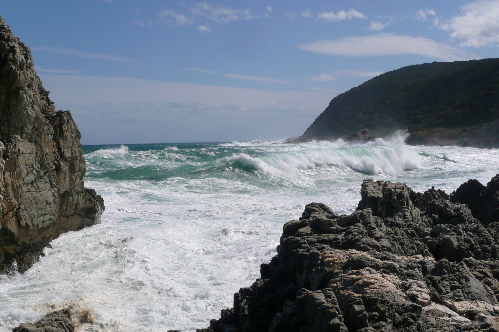 照片 南非(South Africa) 齐齐卡马国家公园(Tsitsikamma National Park) 2008-09 165