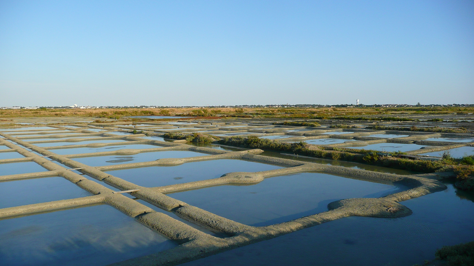 照片 法国(France) 盖朗德(Guerande) 盐田(Les marais salants) 2007-08 5