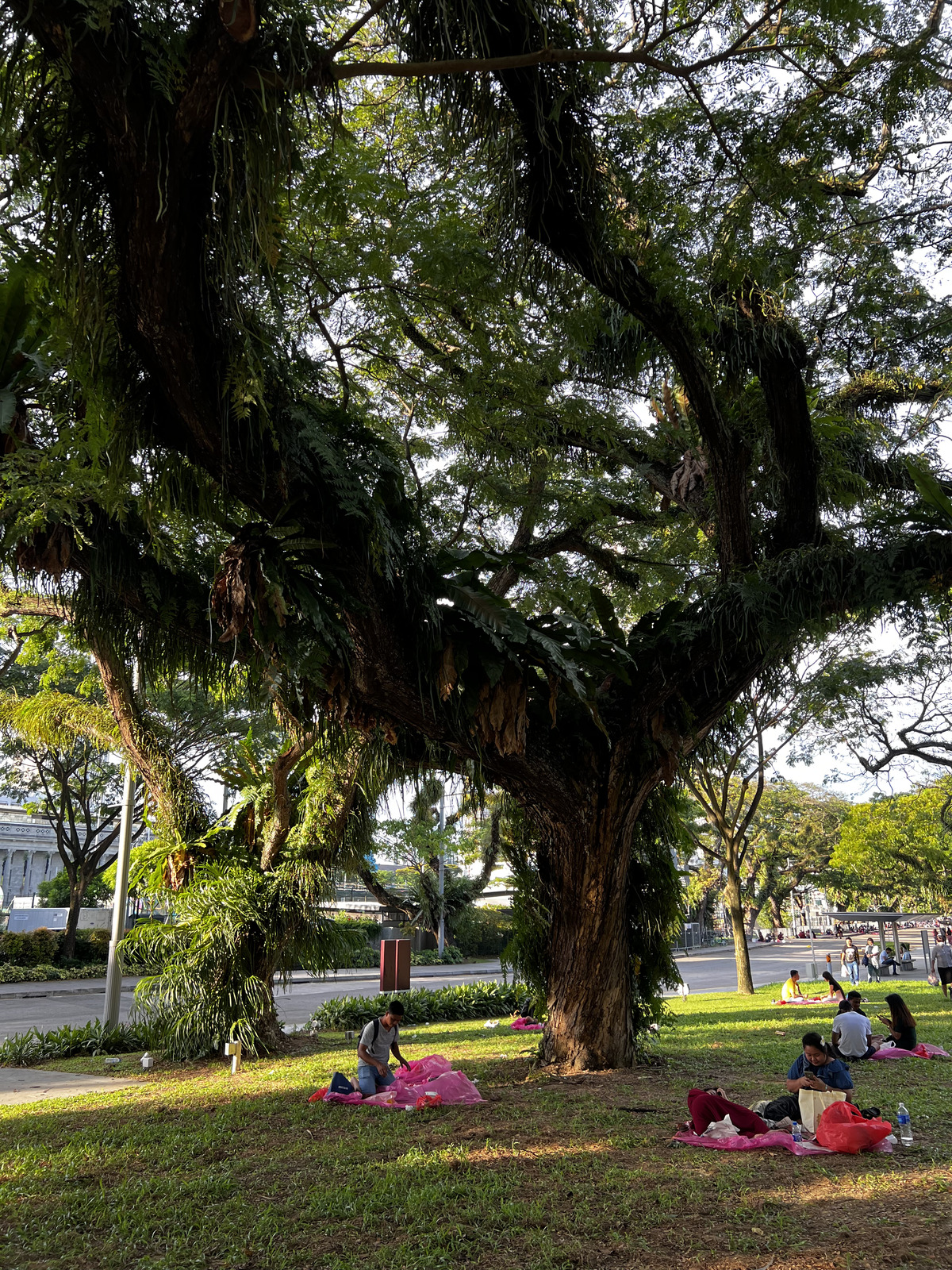 照片 新加坡(Singapore) 2023-01 57