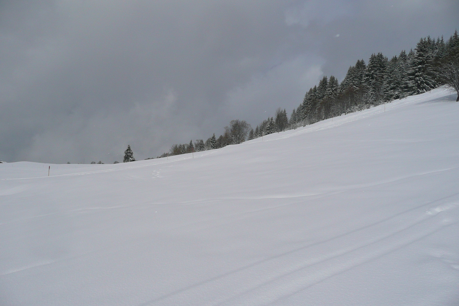 照片 法国(France) 梅杰夫(Megeve) 阿尔布瓦山(Mont d'Arbois) 2010-02 309