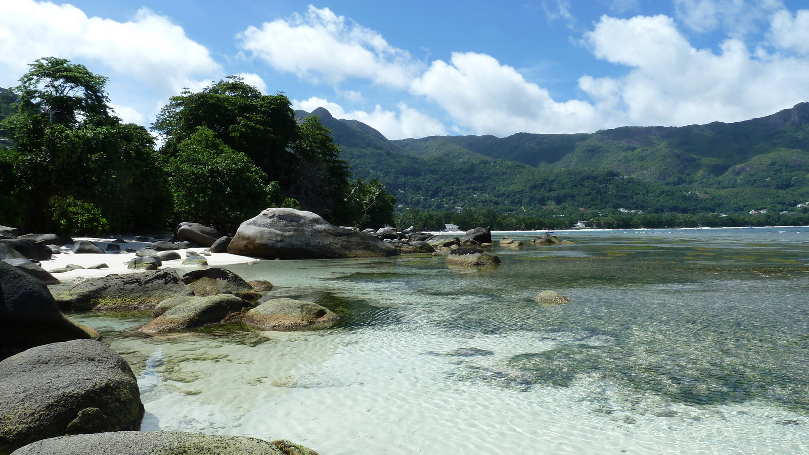 照片 塞舌尔(Seychelles) 马埃岛(Mahe) 2011-10 134